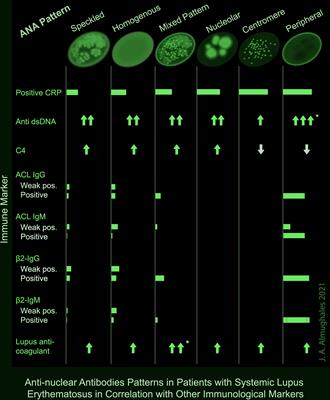 Anti-Nuclear Antibodies Patterns in Patients With Systemic Lupus Erythematosus and Their Correlation With Other Diagnostic Immunological Parameters